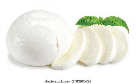 Manda Sütü Mozzarella