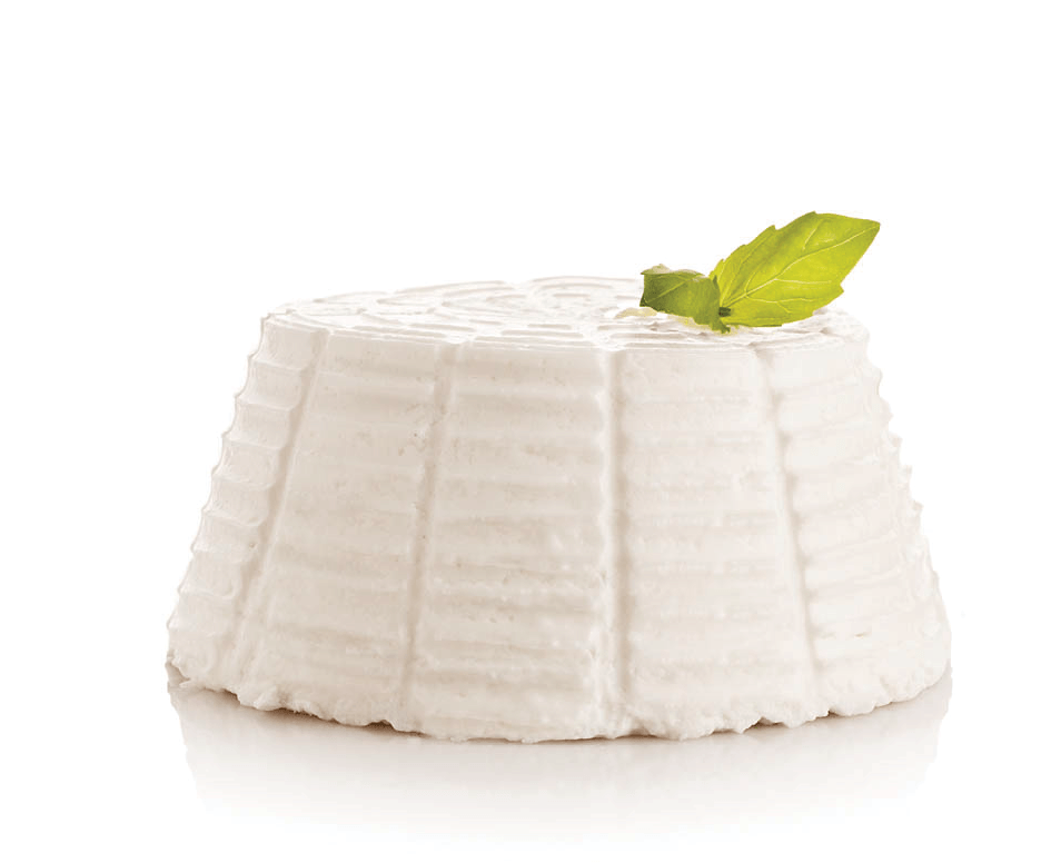 Ricotta