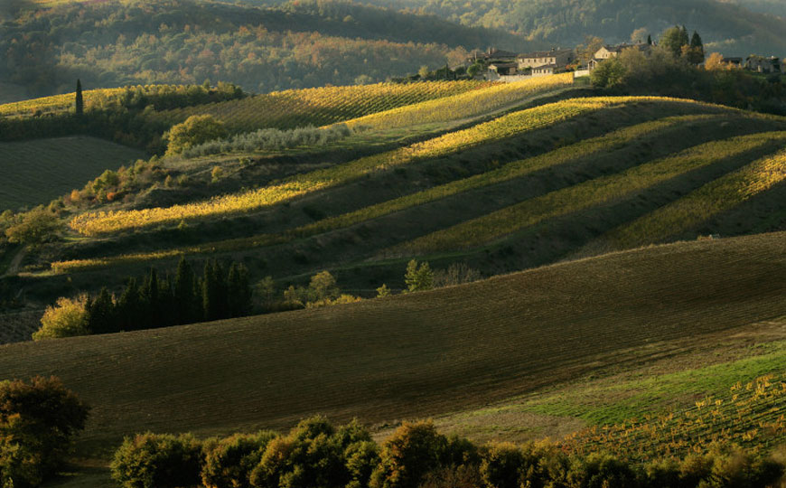 Chianti Classico DOCG Şarapları 1