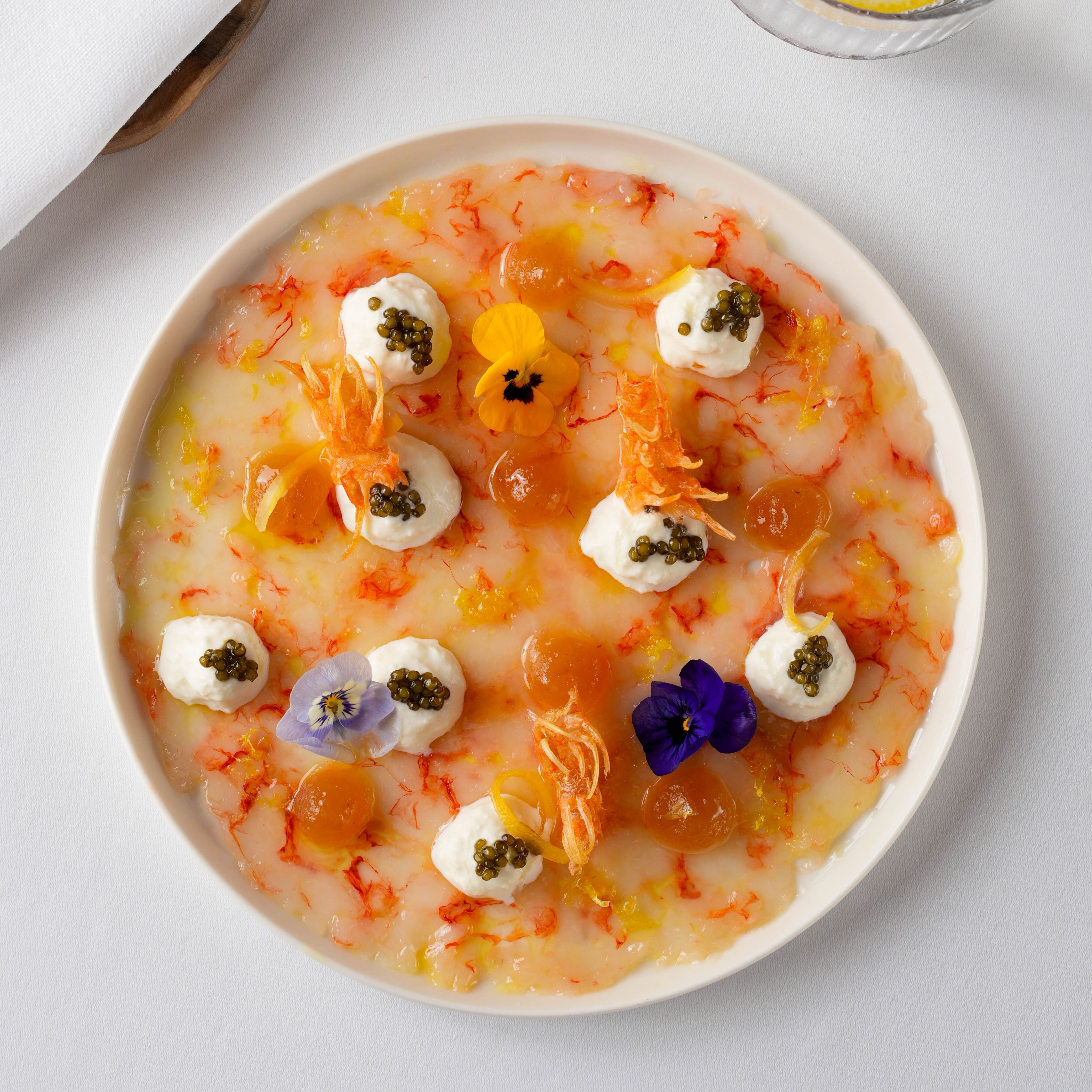 Terrazza Görseller 03