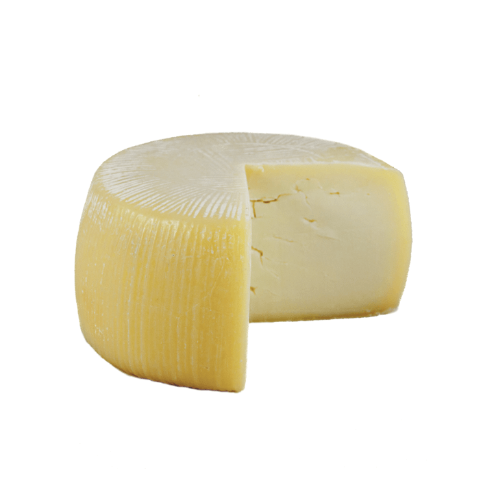 Caciotta