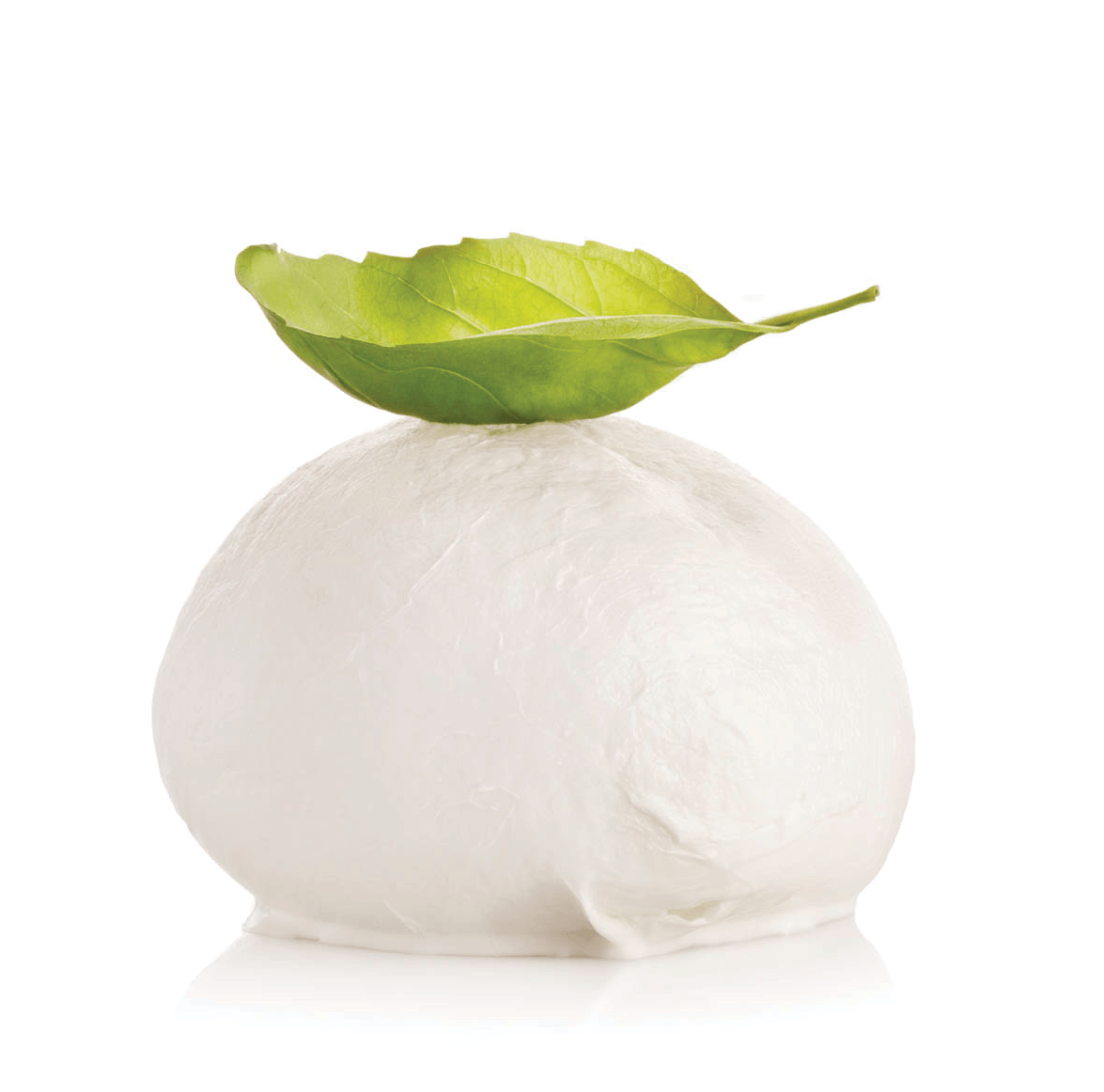 Burrata