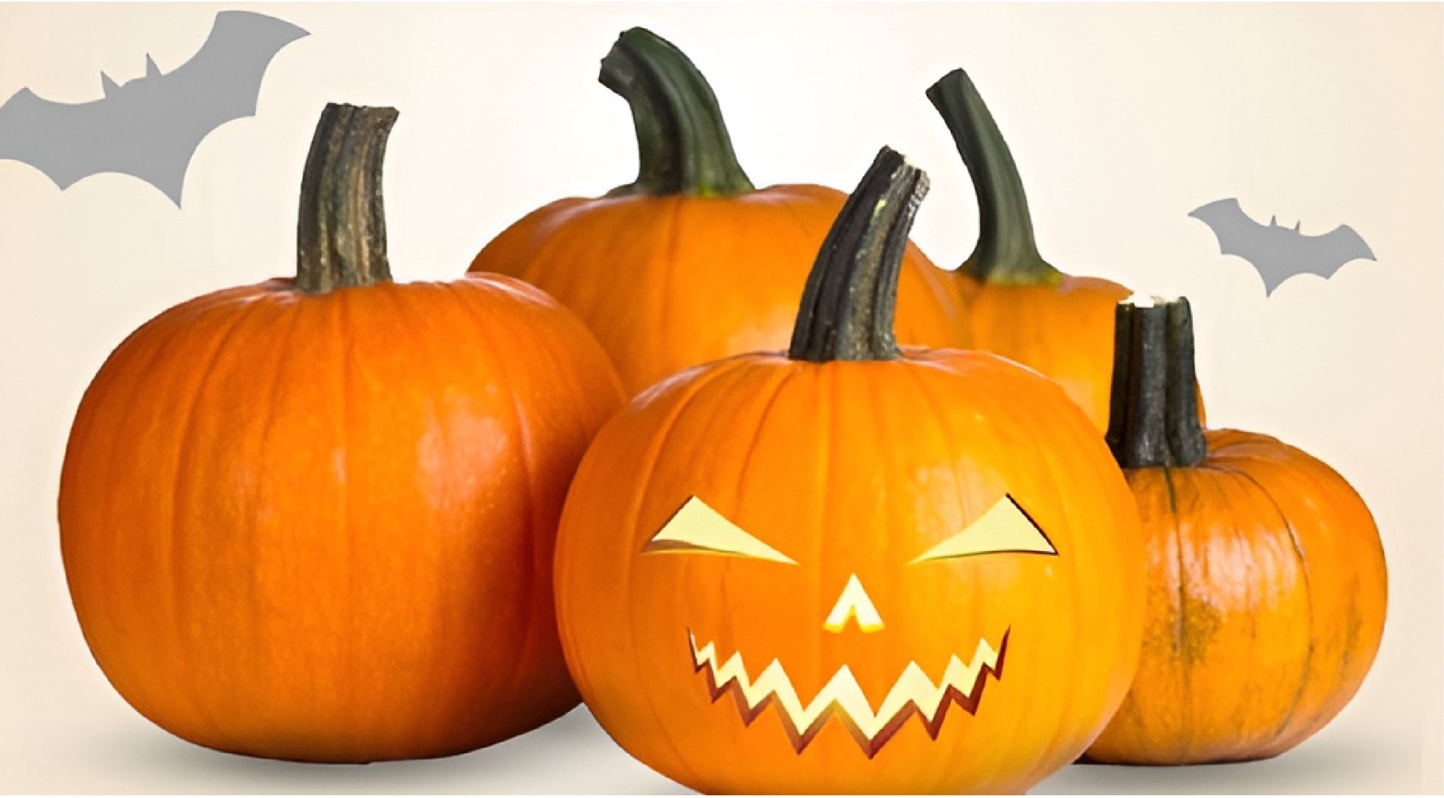 HALLOWEEN 370X670