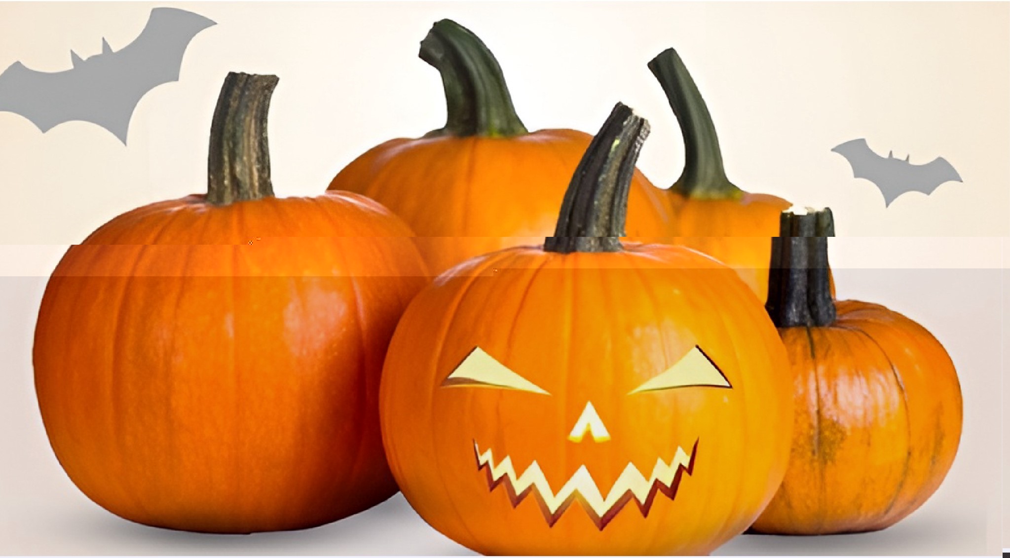 HALLOWEEN 370X670